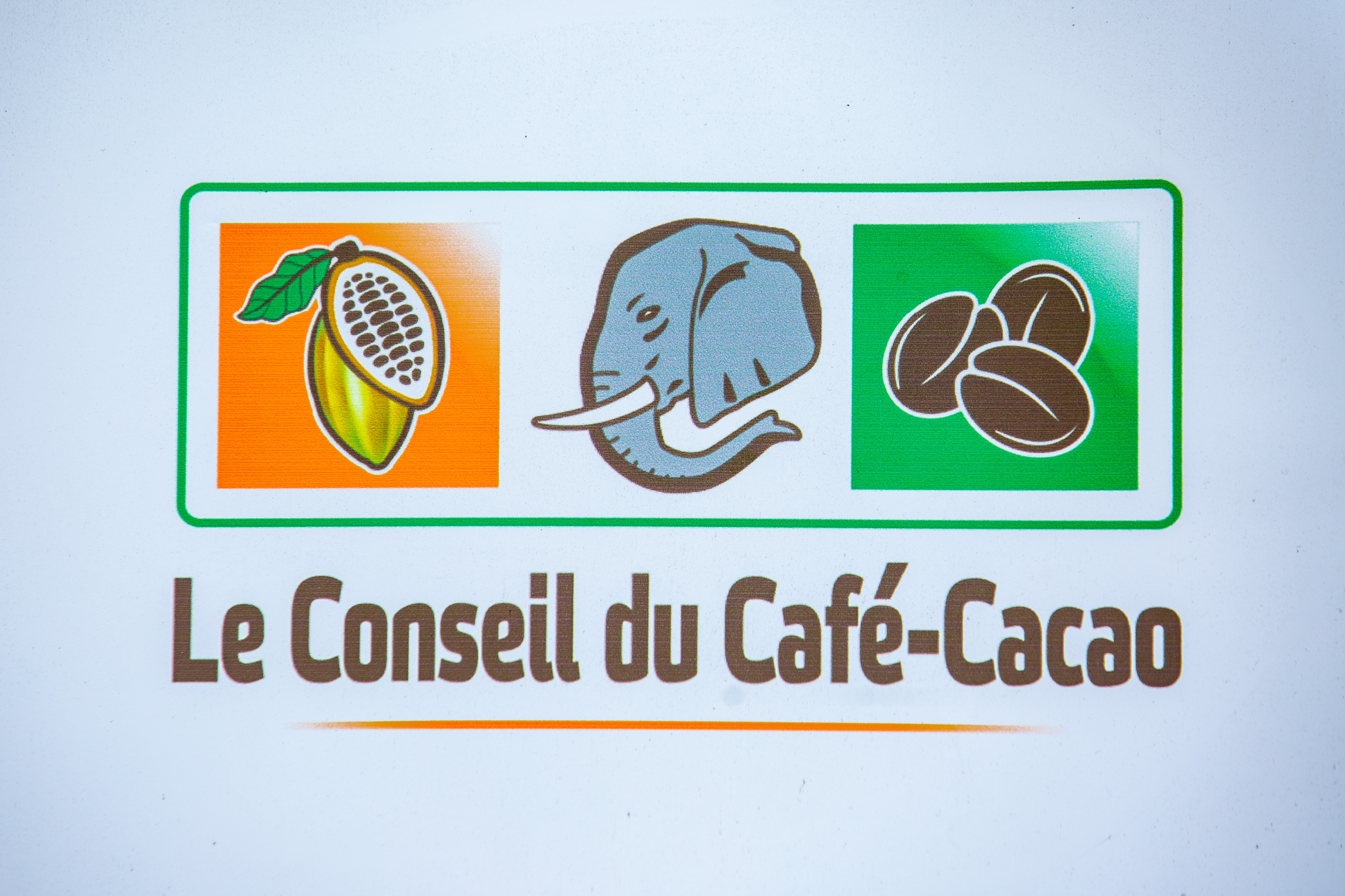 Sustainable cocoa: the Café-Cacao Council trains its agricultural technicians